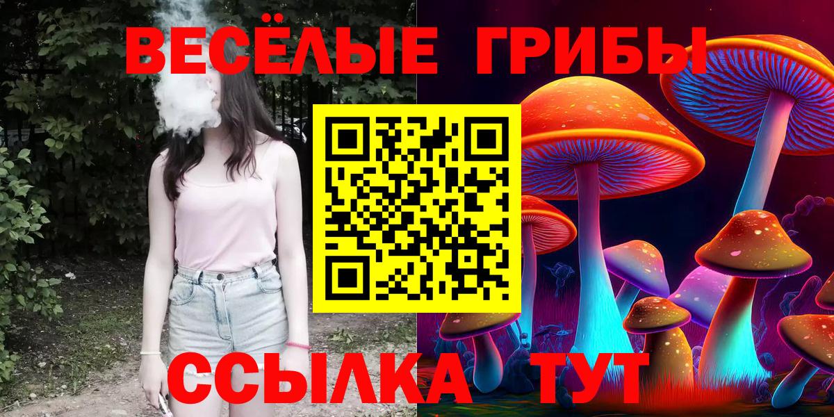 Псилоцибиновые грибы MAGIC MUSHROOMS  купить   Псилоцибиновые грибы ЛСД  Можайск  Вход с VPN 