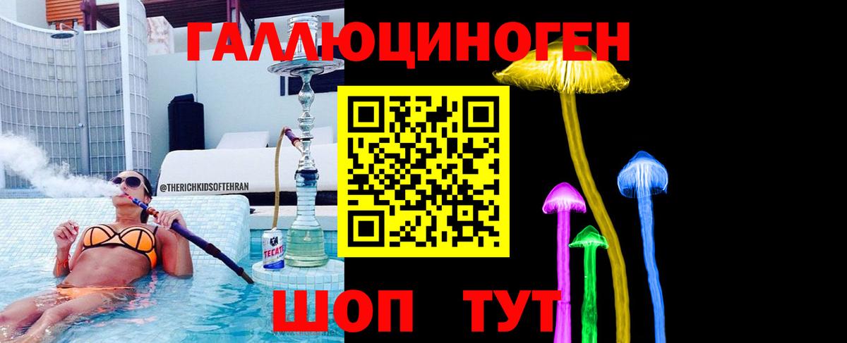 Галлюциногенные грибы Psilocybine cubensis Можайск